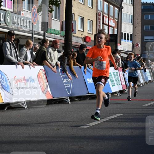 20.09.2026 - PSD Bank Halbmarathon J. Mangold http://msf.ph/oto/10503938 20.09.2026 10:30:00 Ziel 116, 167, 183, 310, 312, 315, 318, 361, 456 meine-sportfotos.de
