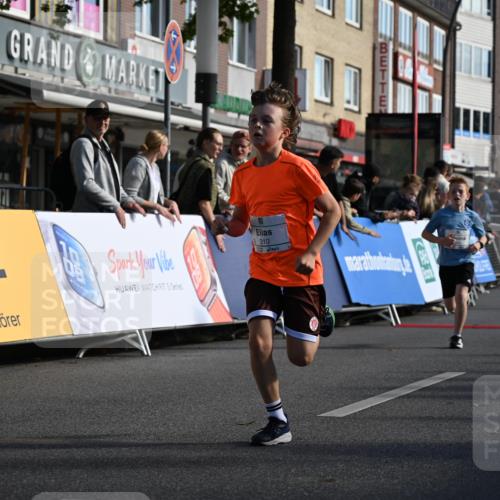 20.09.2026 - PSD Bank Halbmarathon J. Mangold http://msf.ph/oto/10503945 20.09.2026 10:30:01 Ziel 116, 167, 183, 297, 310, 312, 315, 318, 405, 456 meine-sportfotos.de