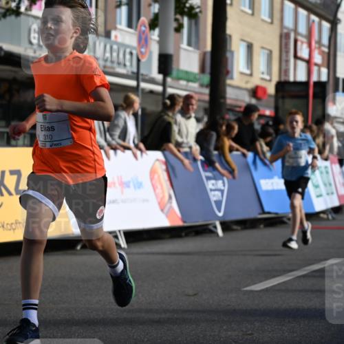 20.09.2026 - PSD Bank Halbmarathon J. Mangold http://msf.ph/oto/10503955 20.09.2026 10:30:01 Ziel 116, 167, 183, 297, 310, 312, 315, 318, 405, 456 meine-sportfotos.de
