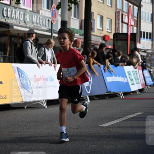 20.09.2026 - PSD Bank Halbmarathon J. Mangold http://msf.ph/oto/10503985 20.09.2026 10:30:06 Ziel 116, 127, 167, 297, 310, 405, 456 meine-sportfotos.de