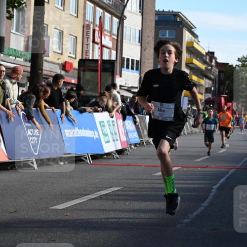 20.09.2026 - PSD Bank Halbmarathon J. Mangold http://msf.ph/oto/10504020 20.09.2026 10:30:13 Ziel 110, 127, 275, 297, 397, 405, 456 meine-sportfotos.de