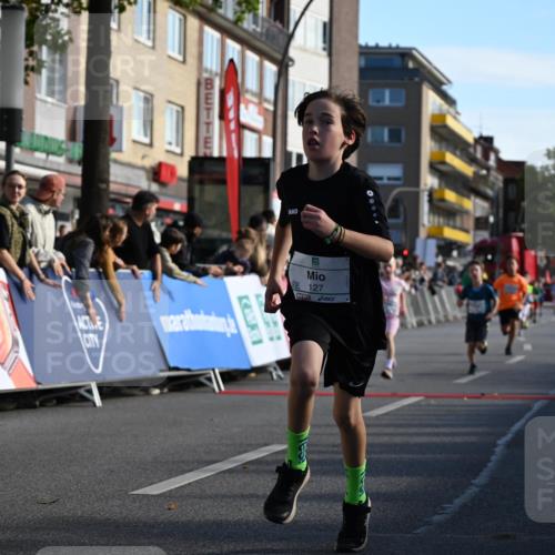 20.09.2026 - PSD Bank Halbmarathon J. Mangold http://msf.ph/oto/10504024 20.09.2026 10:30:13 Ziel 110, 127, 275, 297, 397, 405, 456 meine-sportfotos.de