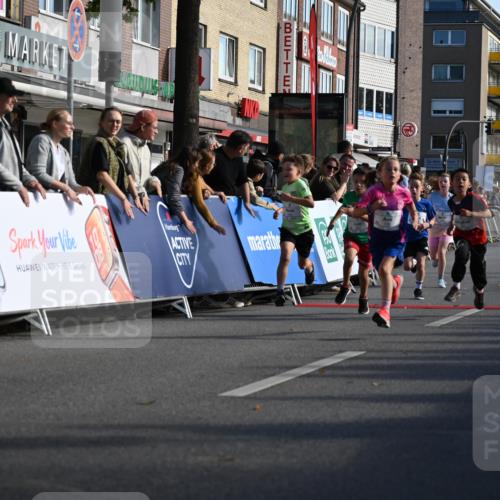 20.09.2026 - PSD Bank Halbmarathon J. Mangold http://msf.ph/oto/10504088 20.09.2026 10:30:24 Ziel 114, 159, 160, 176, 256, 257, 275, 319, 340, 391, 408 meine-sportfotos.de