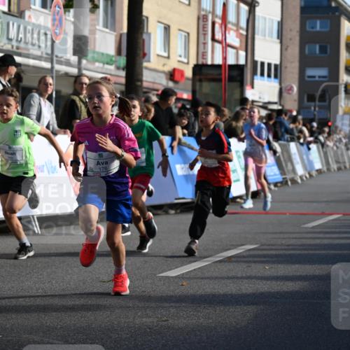 20.09.2026 - PSD Bank Halbmarathon J. Mangold http://msf.ph/oto/10504102 20.09.2026 10:30:26 Ziel 114, 159, 160, 176, 256, 257, 319, 340, 391, 408 meine-sportfotos.de
