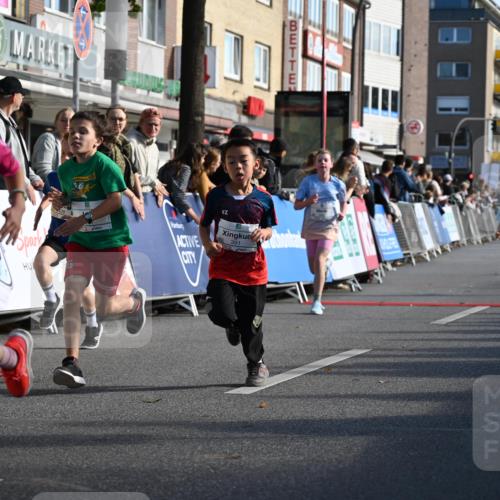 20.09.2026 - PSD Bank Halbmarathon J. Mangold http://msf.ph/oto/10504108 20.09.2026 10:30:26 Ziel 114, 159, 160, 176, 256, 257, 319, 340, 391, 408 meine-sportfotos.de