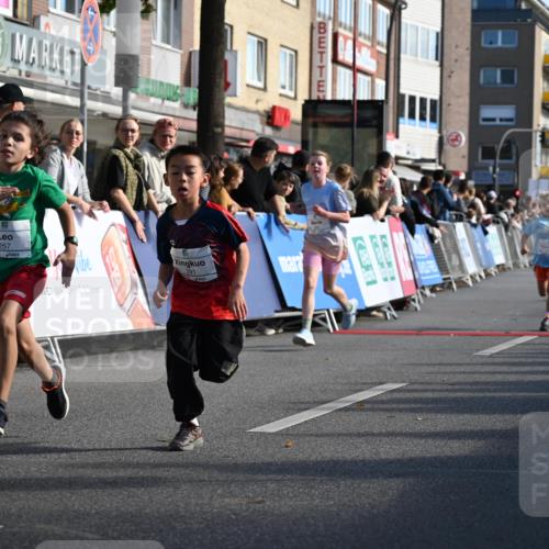 20.09.2026 - PSD Bank Halbmarathon J. Mangold http://msf.ph/oto/10504110 20.09.2026 10:30:26 Ziel 114, 159, 160, 176, 256, 257, 319, 340, 391, 408 meine-sportfotos.de