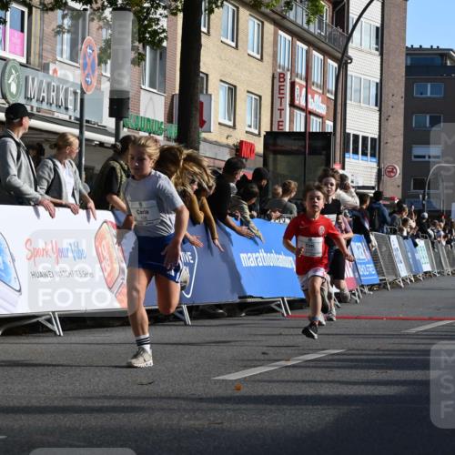 20.09.2026 - PSD Bank Halbmarathon J. Mangold http://msf.ph/oto/10504312 20.09.2026 10:31:16 Ziel 104, 108, 146, 158, 217, 223, 260, 307, 309, 353, 395, 398, 407, 410, 439 meine-sportfotos.de