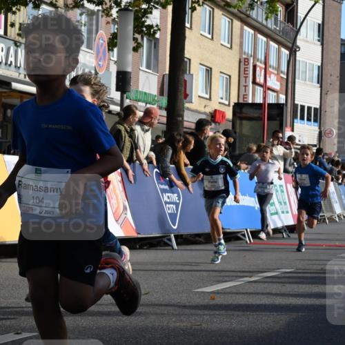 20.09.2026 - PSD Bank Halbmarathon J. Mangold http://msf.ph/oto/10504343 20.09.2026 10:31:23 Ziel 104, 108, 208, 210, 215, 217, 219, 223, 260, 265, 307, 322, 375, 398, 407, 410, 414, 450, 451 meine-sportfotos.de