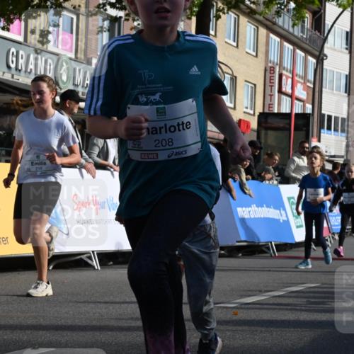 20.09.2026 - PSD Bank Halbmarathon J. Mangold http://msf.ph/oto/10504356 20.09.2026 10:31:27 Ziel 104, 208, 210, 215, 219, 223, 260, 265, 307, 322, 375, 414, 450, 451 meine-sportfotos.de