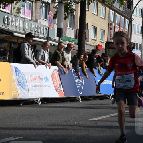 20.09.2026 - PSD Bank Halbmarathon J. Mangold http://msf.ph/oto/10504362 20.09.2026 10:31:28 Ziel 189, 208, 210, 215, 219, 223, 260, 265, 307, 322, 375, 414, 450, 451 meine-sportfotos.de
