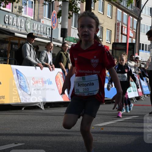 20.09.2026 - PSD Bank Halbmarathon J. Mangold http://msf.ph/oto/10504365 20.09.2026 10:31:28 Ziel 189, 208, 210, 215, 219, 223, 260, 265, 307, 322, 375, 414, 450, 451 meine-sportfotos.de