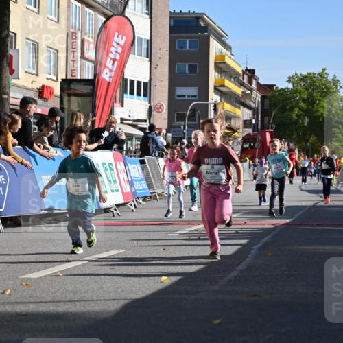 20.09.2026 - PSD Bank Halbmarathon J. Mangold http://msf.ph/oto/10505006 20.09.2026 10:34:39 Ziel 119, 161, 195, 378, 383, 400, 401, 403, 428, 452 meine-sportfotos.de