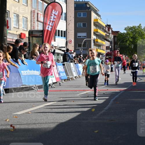 20.09.2026 - PSD Bank Halbmarathon J. Mangold http://msf.ph/oto/10505033 20.09.2026 10:34:41 Ziel 119, 161, 195, 378, 383, 400, 401, 403, 428, 452 meine-sportfotos.de
