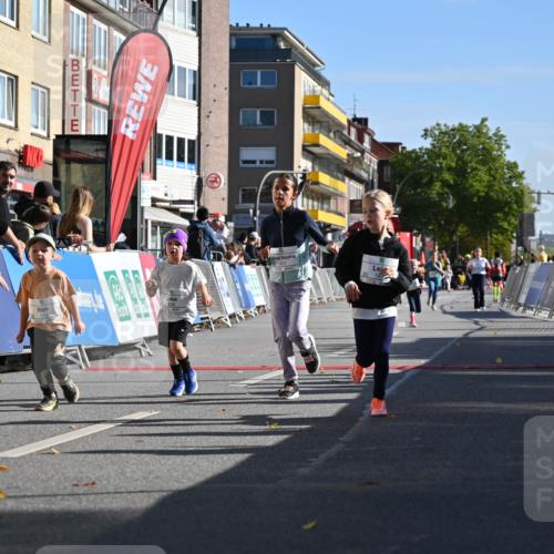 20.09.2026 - PSD Bank Halbmarathon J. Mangold http://msf.ph/oto/10505063 20.09.2026 10:34:45 Ziel 119, 161, 195, 334, 378, 383, 401, 403, 428, 452 meine-sportfotos.de