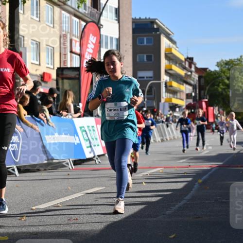 20.09.2026 - PSD Bank Halbmarathon J. Mangold http://msf.ph/oto/10505115 20.09.2026 10:35:00 Ziel 163, 169, 203, 287, 303, 311, 423, 440, 460 meine-sportfotos.de
