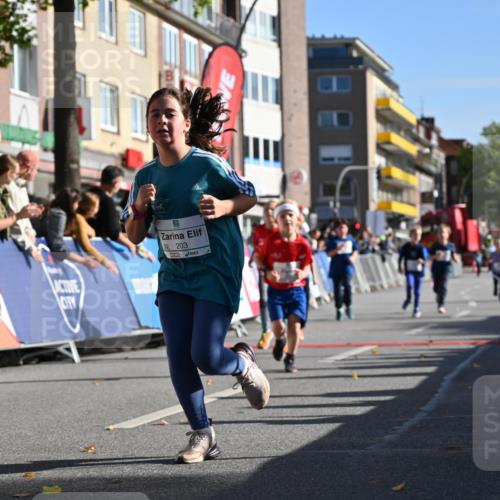 20.09.2026 - PSD Bank Halbmarathon J. Mangold http://msf.ph/oto/10505119 20.09.2026 10:35:00 Ziel 163, 169, 203, 287, 303, 311, 423, 440, 460 meine-sportfotos.de
