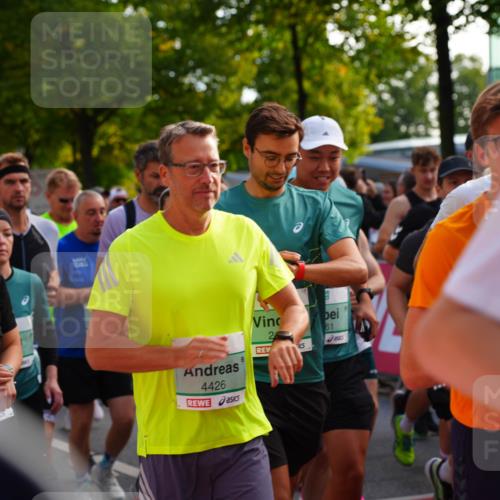 20.09.2026 - PSD Bank Halbmarathon LAZAROV Photography http://msf.ph/oto/10507334 20.09.2026 10:02:08 Laufen 61, 2, 4426 meine-sportfotos.de