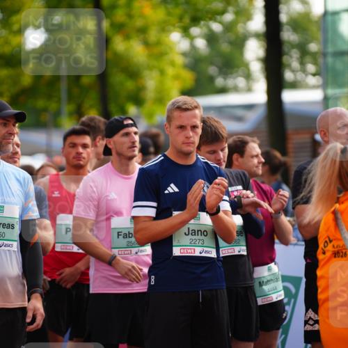 20.09.2026 - PSD Bank Halbmarathon LAZAROV Photography http://msf.ph/oto/10507407 20.09.2026 10:03:28 Laufen 11, 2850, 256, 2273, 8, 62, 2026 meine-sportfotos.de