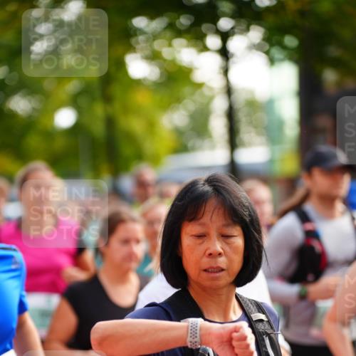 20.09.2026 - PSD Bank Halbmarathon LAZAROV Photography http://msf.ph/oto/10508012 20.09.2026 10:05:55 Laufen 3361 meine-sportfotos.de
