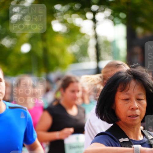 20.09.2026 - PSD Bank Halbmarathon LAZAROV Photography http://msf.ph/oto/10508017 20.09.2026 10:05:55 Laufen 2434 meine-sportfotos.de