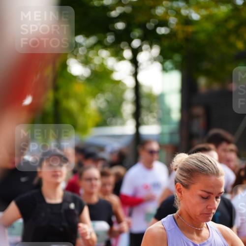 20.09.2026 - PSD Bank Halbmarathon LAZAROV Photography http://msf.ph/oto/10508271 20.09.2026 10:06:27 Laufen 509 meine-sportfotos.de