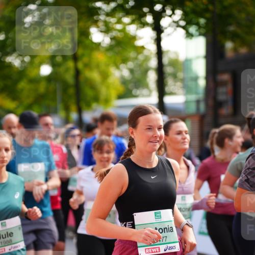 20.09.2026 - PSD Bank Halbmarathon LAZAROV Photography http://msf.ph/oto/10508273 20.09.2026 10:06:29 Laufen 1988, 477 meine-sportfotos.de