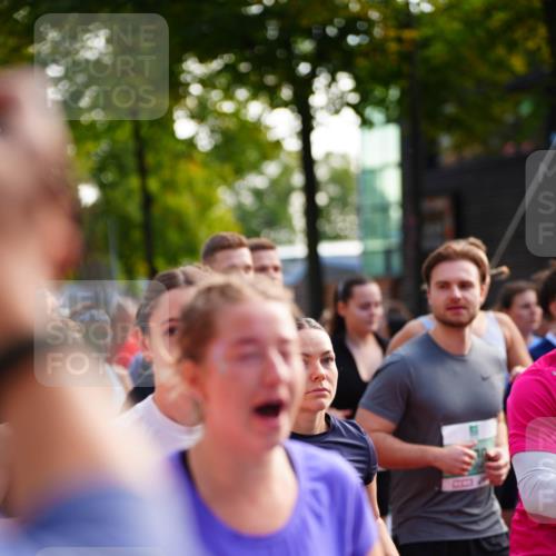 20.09.2026 - PSD Bank Halbmarathon LAZAROV Photography http://msf.ph/oto/10508838 20.09.2026 10:09:09 Laufen 1835, 4799 meine-sportfotos.de