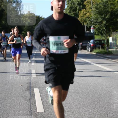 20.09.2026 - PSD Bank Halbmarathon Jannik Wohlers http://msf.ph/oto/10508908 20.09.2026 10:24:54 Laufen 2244 meine-sportfotos.de