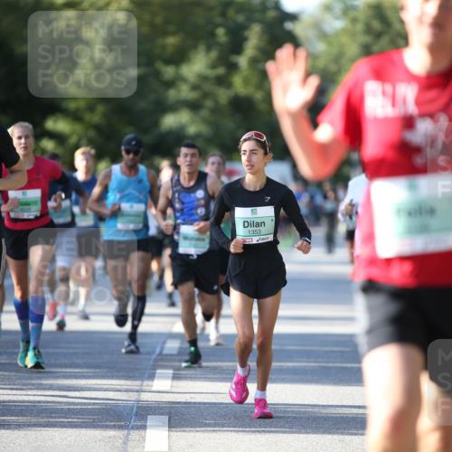 20.09.2026 - PSD Bank Halbmarathon Jannik Wohlers http://msf.ph/oto/10509023 20.09.2026 10:25:08 Laufen 4649, 1353 meine-sportfotos.de