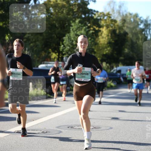 20.09.2026 - PSD Bank Halbmarathon Jannik Wohlers http://msf.ph/oto/10509347 20.09.2026 10:25:54 Laufen 3605, 1944 meine-sportfotos.de