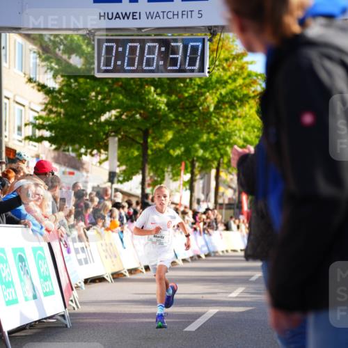 20.09.2026 - PSD Bank Halbmarathon LAZAROV Photography http://msf.ph/oto/10509492 20.09.2026 10:27:54 Laufen 5, 0, 08, 30 meine-sportfotos.de