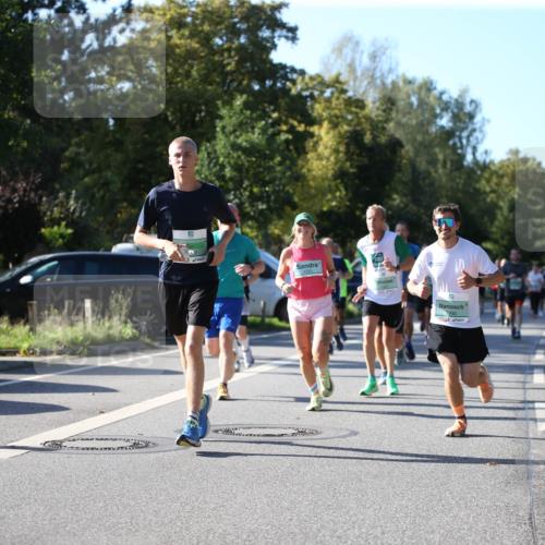 20.09.2026 - PSD Bank Halbmarathon Jannik Wohlers http://msf.ph/oto/10509672 20.09.2026 10:26:36 Laufen 9990 meine-sportfotos.de