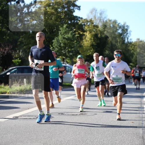 20.09.2026 - PSD Bank Halbmarathon Jannik Wohlers http://msf.ph/oto/10509676 20.09.2026 10:26:37 Laufen 3990 meine-sportfotos.de