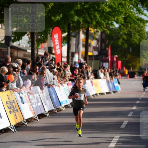 20.09.2026 - PSD Bank Halbmarathon LAZAROV Photography http://msf.ph/oto/10509727 20.09.2026 10:28:26 Laufen  meine-sportfotos.de