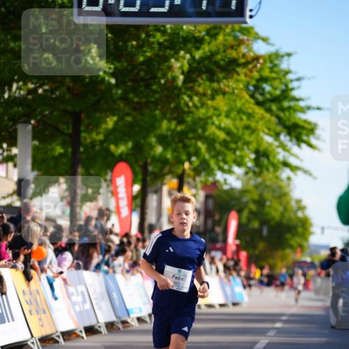 20.09.2026 - PSD Bank Halbmarathon LAZAROV Photography http://msf.ph/oto/10509812 20.09.2026 10:28:42 Laufen  meine-sportfotos.de