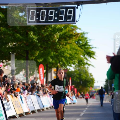 20.09.2026 - PSD Bank Halbmarathon LAZAROV Photography http://msf.ph/oto/10509961 20.09.2026 10:29:04 Laufen 0, 09, 39, 301 meine-sportfotos.de