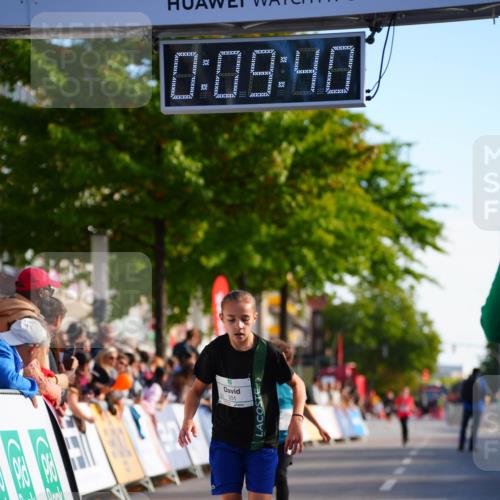 20.09.2026 - PSD Bank Halbmarathon LAZAROV Photography http://msf.ph/oto/10509974 20.09.2026 10:29:04 Laufen 0, 09, 40, 301 meine-sportfotos.de