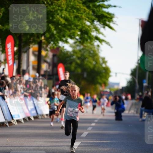 20.09.2026 - PSD Bank Halbmarathon LAZAROV Photography http://msf.ph/oto/10510040 20.09.2026 10:29:22 Laufen 406 meine-sportfotos.de
