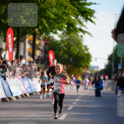 20.09.2026 - PSD Bank Halbmarathon LAZAROV Photography http://msf.ph/oto/10510043 20.09.2026 10:29:22 Laufen 406 meine-sportfotos.de