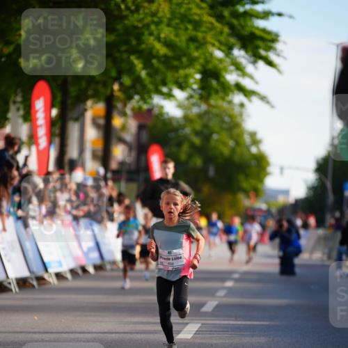20.09.2026 - PSD Bank Halbmarathon LAZAROV Photography http://msf.ph/oto/10510050 20.09.2026 10:29:22 Laufen 406 meine-sportfotos.de