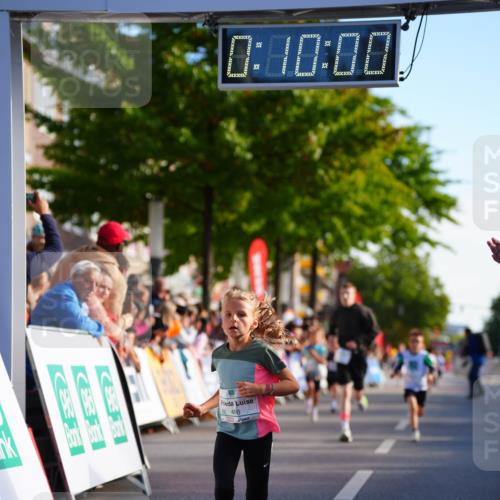 20.09.2026 - PSD Bank Halbmarathon LAZAROV Photography http://msf.ph/oto/10510066 20.09.2026 10:29:24 Laufen 0, 40, 00 meine-sportfotos.de