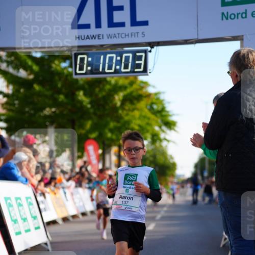 20.09.2026 - PSD Bank Halbmarathon LAZAROV Photography http://msf.ph/oto/10510108 20.09.2026 10:29:27 Laufen 5, 0, 10, 03, 137 meine-sportfotos.de