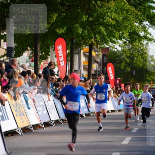 20.09.2026 - PSD Bank Halbmarathon LAZAROV Photography http://msf.ph/oto/10510168 20.09.2026 10:29:32 Laufen  meine-sportfotos.de