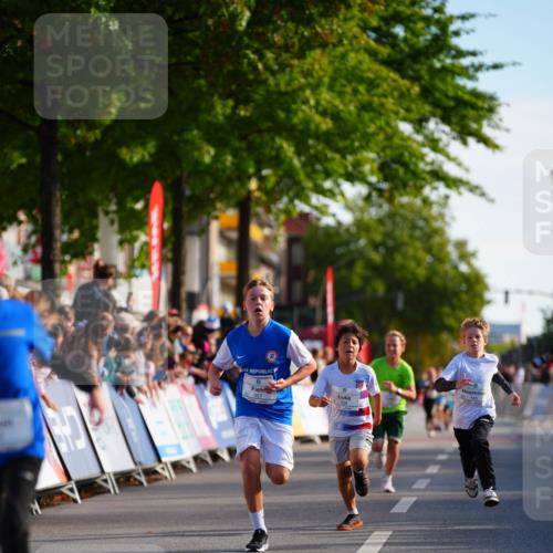 20.09.2026 - PSD Bank Halbmarathon LAZAROV Photography http://msf.ph/oto/10510189 20.09.2026 10:29:33 Laufen 357 meine-sportfotos.de