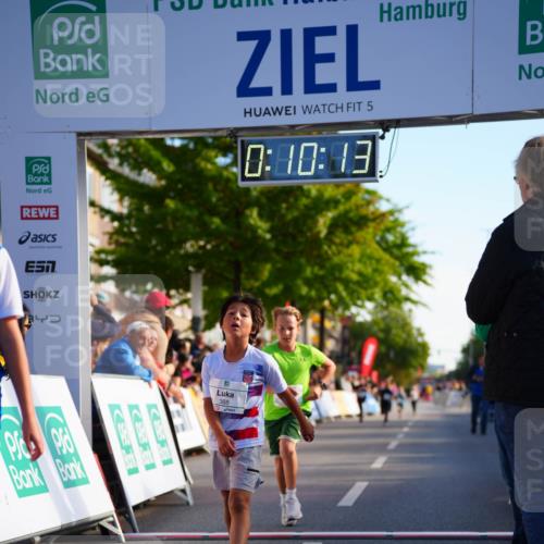 20.09.2026 - PSD Bank Halbmarathon LAZAROV Photography http://msf.ph/oto/10510223 20.09.2026 10:29:37 Laufen 5, 0, 10, 13, 368 meine-sportfotos.de