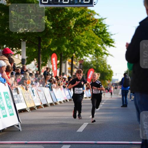 20.09.2026 - PSD Bank Halbmarathon LAZAROV Photography http://msf.ph/oto/10510245 20.09.2026 10:29:42 Laufen  meine-sportfotos.de