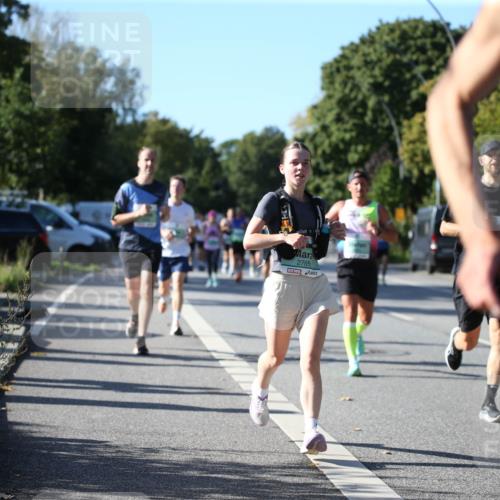 20.09.2026 - PSD Bank Halbmarathon Jannik Wohlers http://msf.ph/oto/10510270 20.09.2026 10:28:27 Laufen  meine-sportfotos.de
