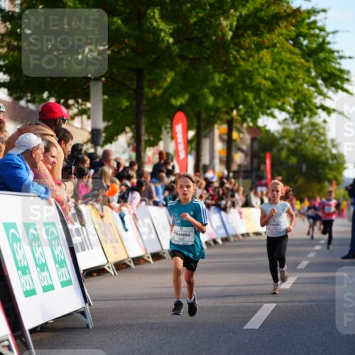 20.09.2026 - PSD Bank Halbmarathon LAZAROV Photography http://msf.ph/oto/10510313 20.09.2026 10:29:49 Laufen  meine-sportfotos.de