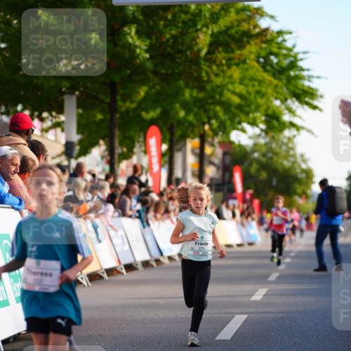 20.09.2026 - PSD Bank Halbmarathon LAZAROV Photography http://msf.ph/oto/10510334 20.09.2026 10:29:50 Laufen 279 meine-sportfotos.de