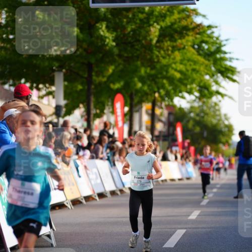 20.09.2026 - PSD Bank Halbmarathon LAZAROV Photography http://msf.ph/oto/10510338 20.09.2026 10:29:50 Laufen 279 meine-sportfotos.de